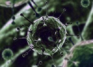 Microorganismele bacteriene ca cauza prostatitei